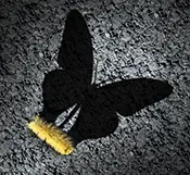 Banner Small Image