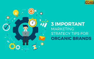 3 Important Marketing Strategy Tips for an Organic Brand